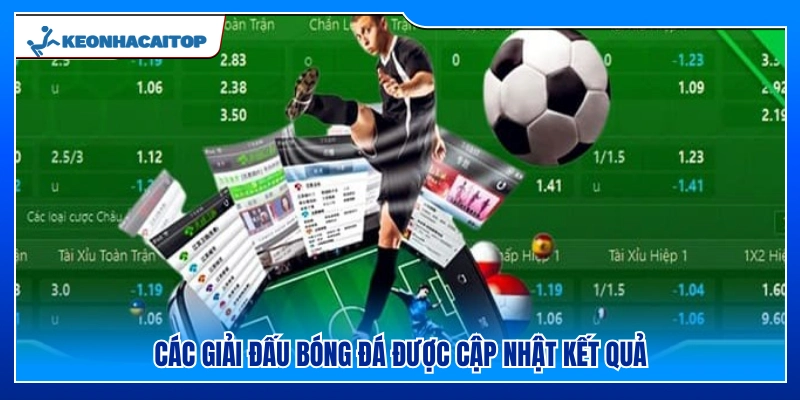 Danh mục giải đấu được Kèo Nhà Cái cập nhật